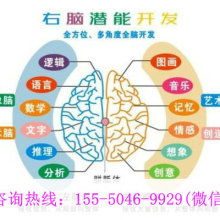廈門學之源科技開發公司 專注早教教材與幼教產品，引領信息技術咨詢服務